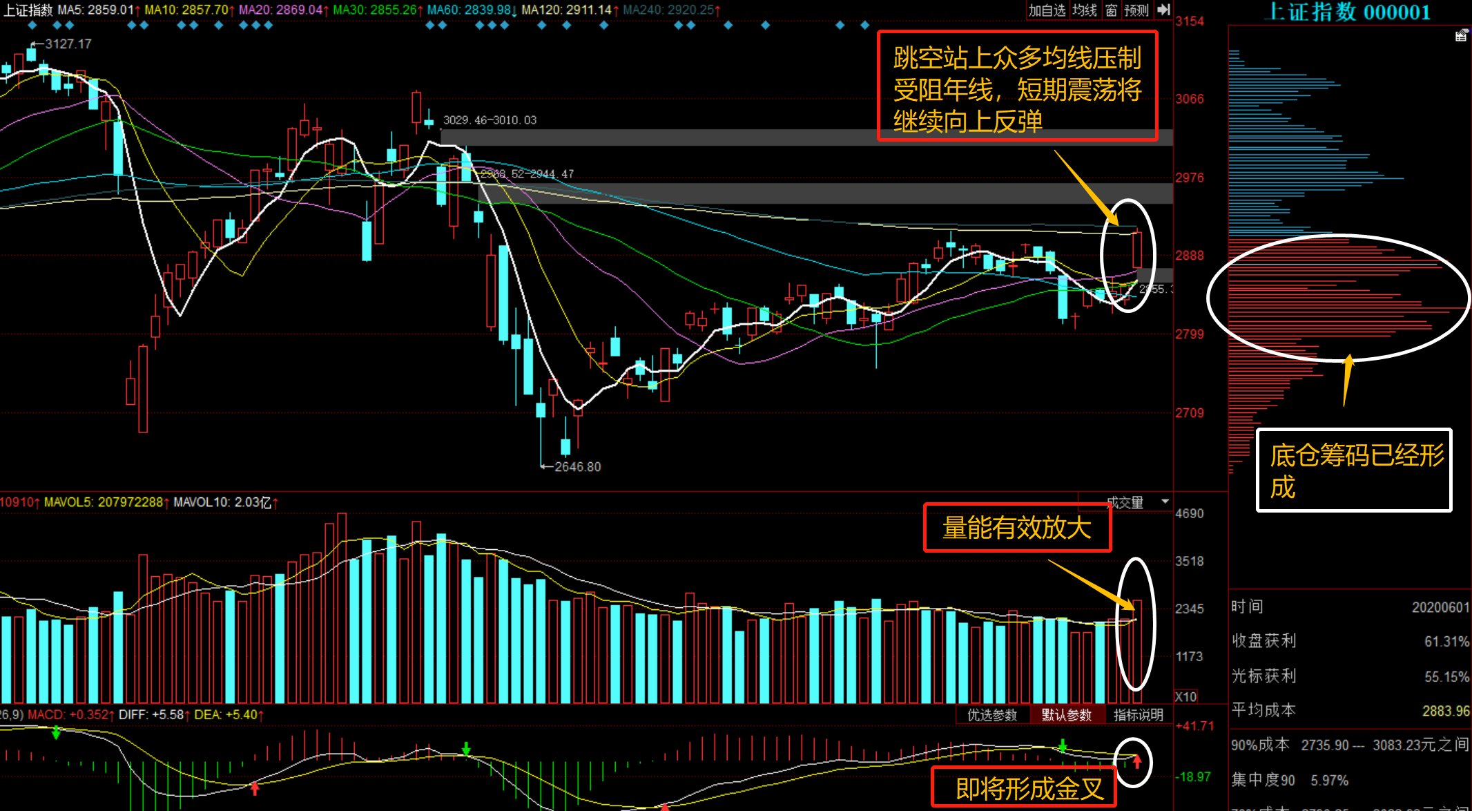 股票行情深度解析，聚焦600736，股票深度解析，聚焦代碼600736的行情動(dòng)態(tài)