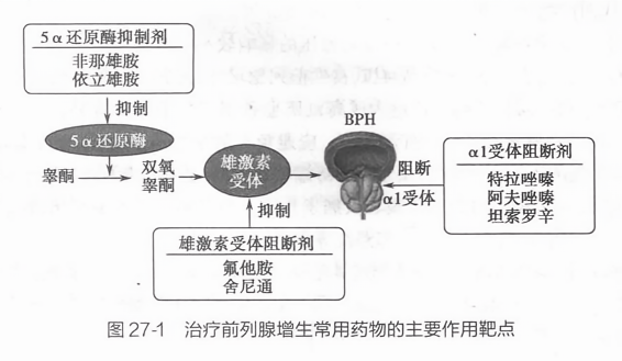 治療前列腺增生的藥物，理解選擇與應(yīng)用的重要性，前列腺增生治療藥物的選擇與應(yīng)用，理解其重要性