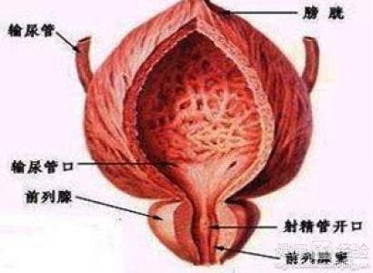 如何按摩男性前列腺，一種健康護理的指南，男性前列腺按摩指南，健康護理的秘訣