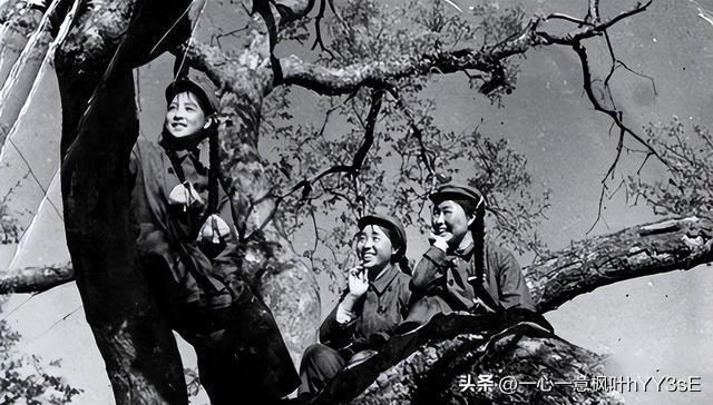 探索女兵報(bào)名入口官網(wǎng)，2023年的機(jī)遇與挑戰(zhàn)，女兵報(bào)名入口官網(wǎng)探索，2023年的機(jī)遇與挑戰(zhàn)揭秘