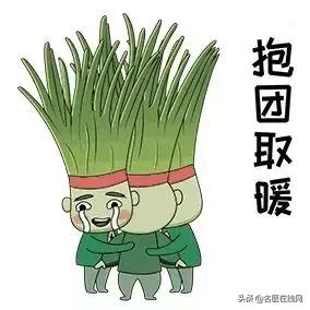 韭菜籽怎么吃壯陽(yáng)效果好，探索韭菜籽的最佳食用方式，韭菜籽壯陽(yáng)食用法，探索最佳食用方式