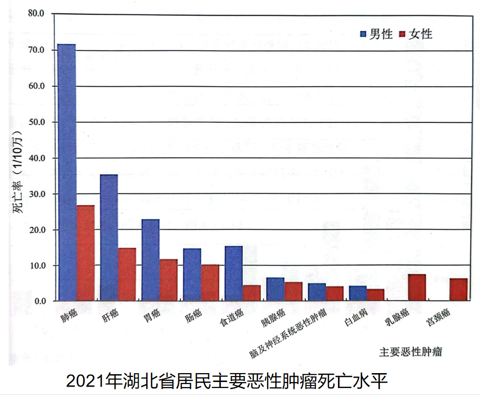 睪丸癌死亡率及其相關(guān)因素探討，睪丸癌死亡率及其影響因素分析